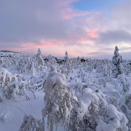 Villa Haukka Saariselkä Exteriör bild