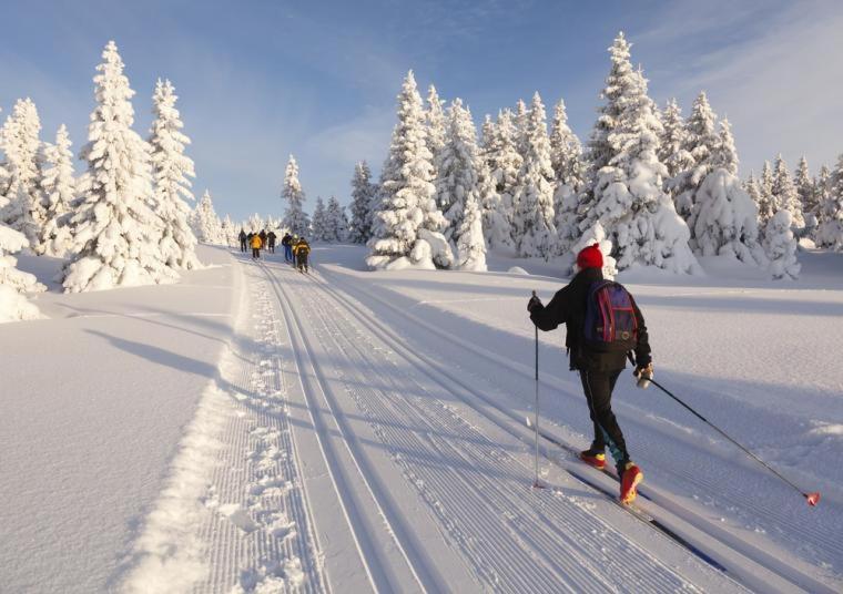Villa Haukka Saariselkä Exteriör bild