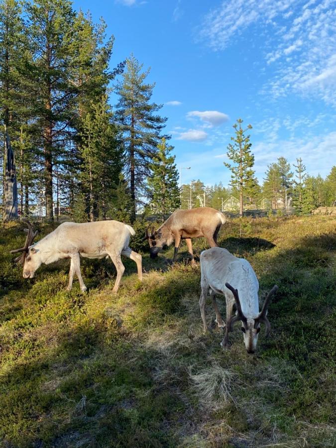 Villa Haukka Saariselkä Exteriör bild