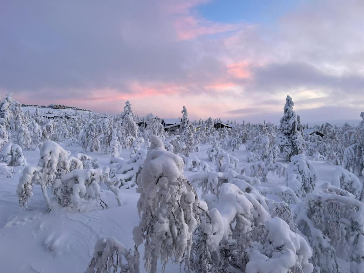 Villa Haukka Saariselkä Exteriör bild